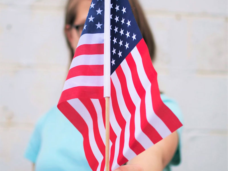 Campaign Principle Person Holding Out USA Flag